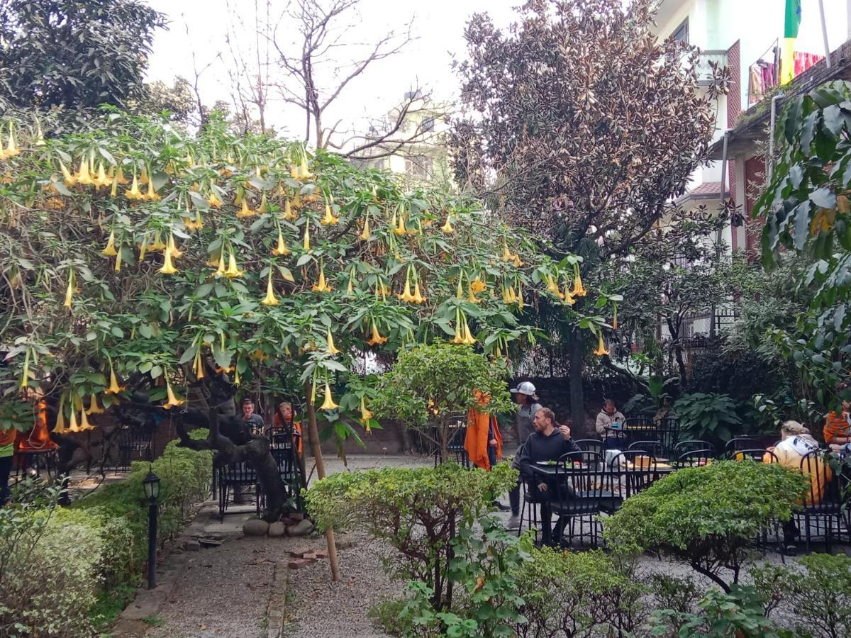 Hotel Lotus Garden カトマンズ エクステリア 写真